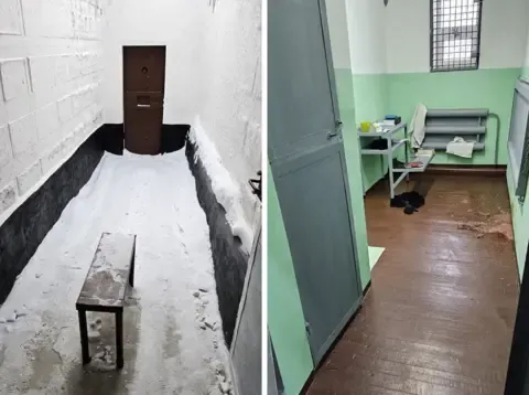 Examinations Indicate the opposition leader Suffered Poisoning While Incarcerated, His Wife Claims