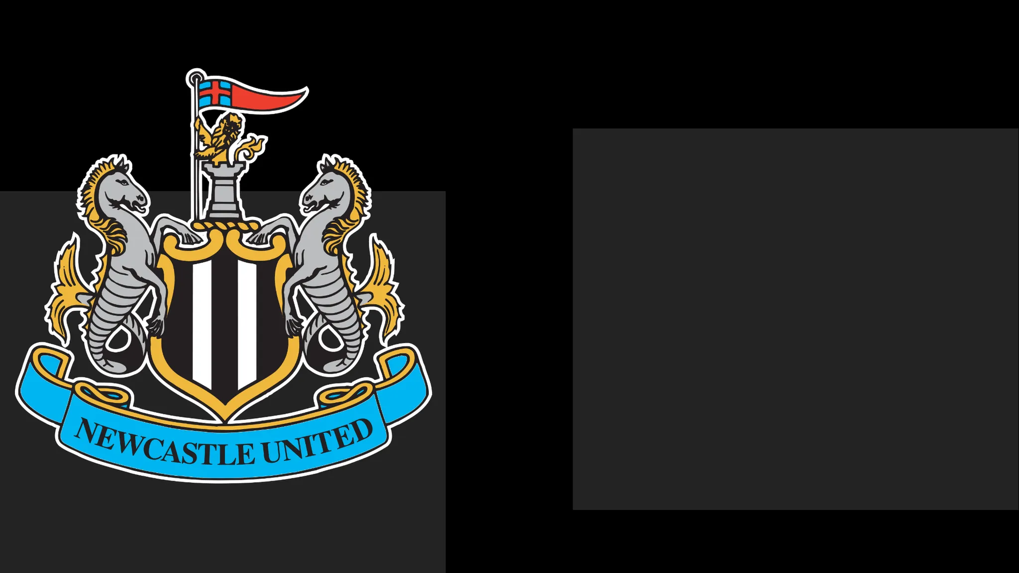Newcastle Extend Apology to Supporters Following Season Ticket Issue