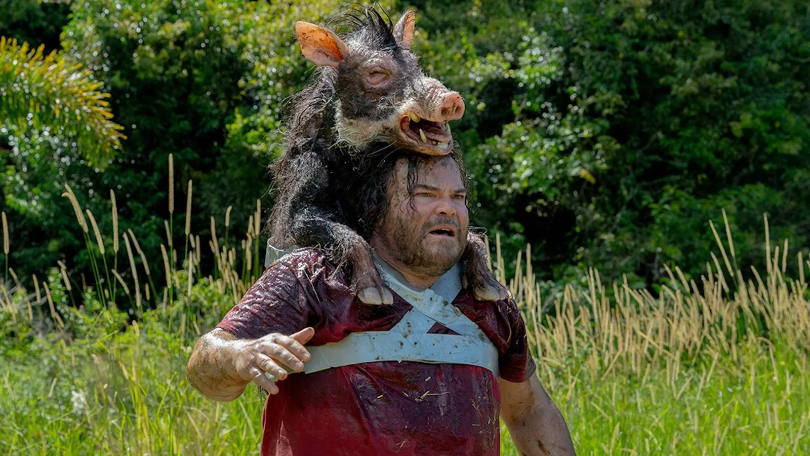 The Studio's Giant Snake Film Revival Proves to Be a Really Good Concept
