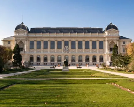Priceless Golden Samples Snatched in Audacious Raid at France's Natural History Museum