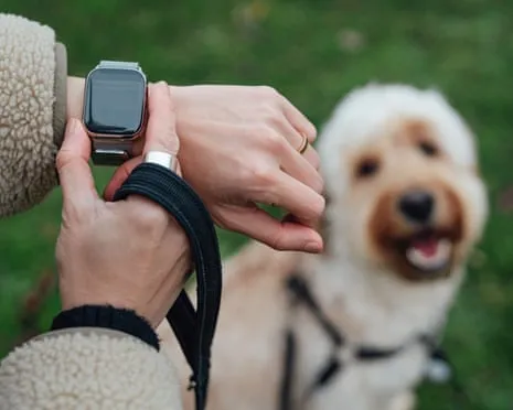 The Honest Scoop Regarding Smartwatches? Daily Existence Feels Fuller Lacking a Hectoring Device on Your Arm